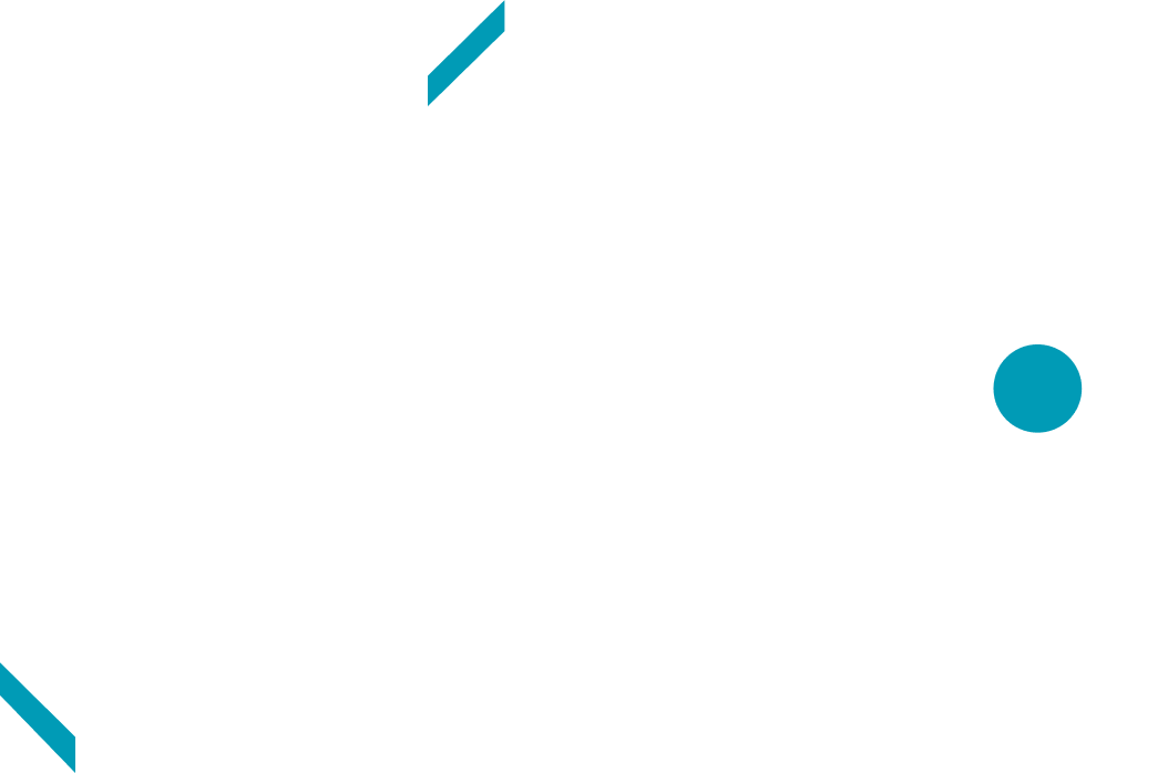 PRO BUS CARS